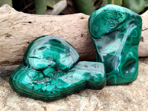 Polished Flower Banded Malachite Free Forms x 13 From Congo