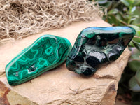 Polished Flower Banded Malachite Free Forms x 13 From Congo