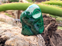 Polished Flower Banded Malachite Free Forms x 13 From Congo