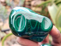 Polished Flower Banded Malachite Free Forms x 13 From Congo