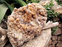 Natural Limonite Spirit Quartz Cluster x 1 From Boekenhouthoek, South Africa