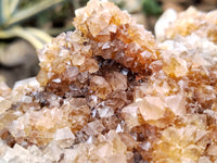 Natural Limonite Spirit Quartz Cluster x 1 From Boekenhouthoek, South Africa