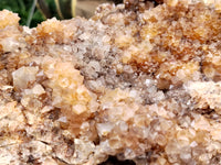 Natural Limonite Spirit Quartz Cluster x 1 From Boekenhouthoek, South Africa