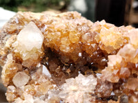 Natural Limonite Spirit Quartz Cluster x 1 From Boekenhouthoek, South Africa