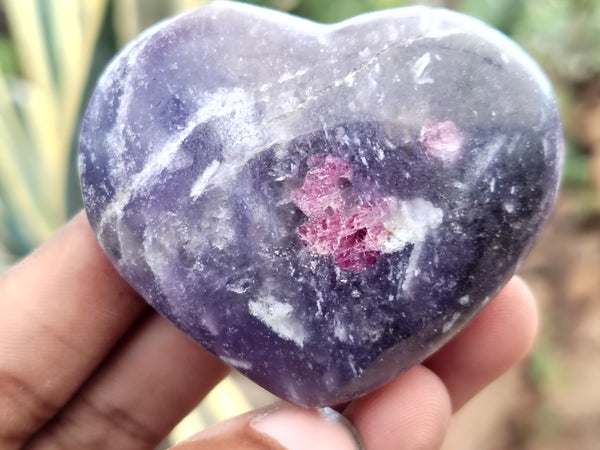 Polished Lepidolite With Pink Tourmaline Gemstone Hearts x 6 From Madagascar