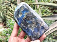 Polished Labradorite Standing Free Forms x 3 From Tulear, Madagascar