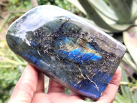 Polished Labradorite Standing Free Forms x 3 From Tulear, Madagascar