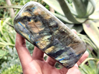 Polished Labradorite Standing Free Forms x 3 From Tulear, Madagascar