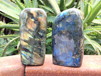 Polished Labradorite Standing Free Forms x 3 From Tulear, Madagascar