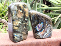 Polished Labradorite Standing Free Forms x 3 From Tulear, Madagascar