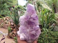 Natural Jacaranda Amethyst Quartz Cluster x 1 from Mumbwa, Zambia