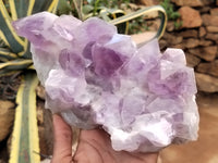 Natural Jacaranda Amethyst Quartz Cluster x 1 from Mumbwa, Zambia