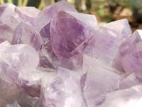 Natural Jacaranda Amethyst Quartz Cluster x 1 from Mumbwa, Zambia