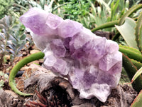 Natural Jacaranda Amethyst Quartz Cluster x 1 from Mumbwa, Zambia