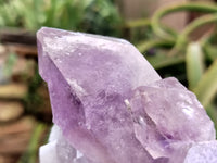 Natural Jacaranda Amethyst Quartz Cluster x 1 from Mumbwa, Zambia