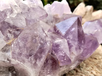 Natural Jacaranda Amethyst Quartz Cluster x 1 from Mumbwa, Zambia