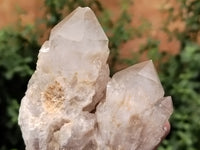 Natural Smokey Phantom Quartz Clusters x 6 From Luena, Congo