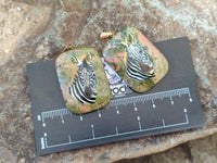 Polished Unakite Pendant with Hand Painted Zebra - Sold Per Item - From South Africa