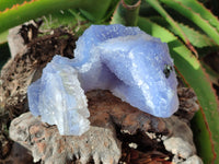 Natural Etched Blue Chalcedony Specimens x 2 From Nsanje, Malawi