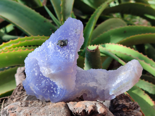 Natural Etched Blue Chalcedony Specimens x 2 From Nsanje, Malawi