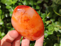 Polished Carnelian Standing Free Forms x 6 From Madagascar