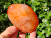 Polished Carnelian Standing Free Forms x 6 From Madagascar