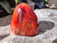 Polished Carnelian Standing Free Forms x 6 From Madagascar