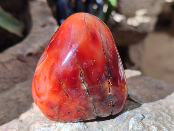 Polished Carnelian Standing Free Forms x 6 From Madagascar