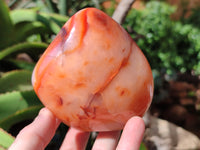 Polished Carnelian Standing Free Forms x 6 From Madagascar