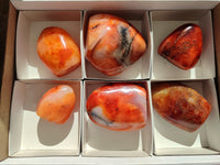 Polished Carnelian Standing Free Forms x 6 From Madagascar