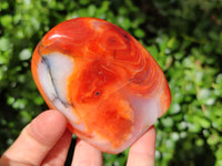 Polished Carnelian Standing Free Forms x 6 From Madagascar