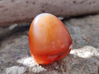 Polished Carnelian Standing Free Forms x 6 From Madagascar