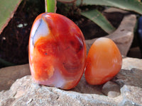 Polished Carnelian Standing Free Forms x 6 From Madagascar