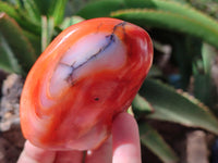 Polished Carnelian Standing Free Forms x 6 From Madagascar