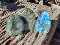 Polished Labradorite Standing Free Forms x 6 From Tulear, Madagascar