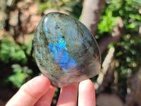 Polished Labradorite Standing Free Forms x 6 From Tulear, Madagascar