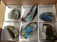 Polished Labradorite Standing Free Forms x 6 From Tulear, Madagascar