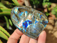 Polished Labradorite Standing Free Forms x 6 From Tulear, Madagascar