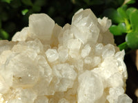 Natural Quartz Clusters x 2 From Madagascar