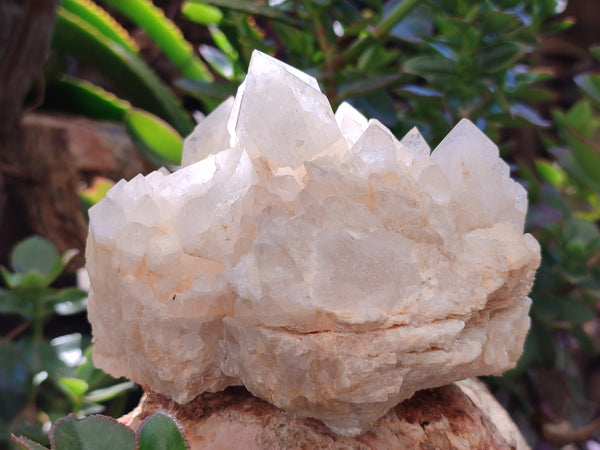 Natural Quartz Clusters x 2 From Madagascar