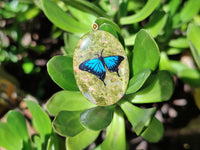 Polished Unakite Pendant with Hand Painted Butterfly - Sold Per Item - From South Africa