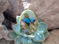 Polished Unakite Pendant with Hand Painted Butterfly - Sold Per Item - From South Africa