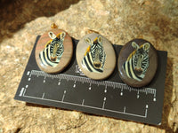 Polished Polychrome Jasper Pendant with Hand Painted Zebra - Sold Per Item - From Madagascar