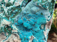 Natural Massive Botryoidal Chrysocolla Geode Specimen x 1 From Kulukuluku, Congo