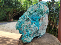 Natural Massive Botryoidal Chrysocolla Geode Specimen x 1 From Kulukuluku, Congo