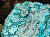 Natural Massive Botryoidal Chrysocolla Geode Specimen x 1 From Kulukuluku, Congo