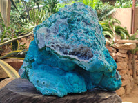 Natural Massive Botryoidal Chrysocolla Geode Specimen x 1 From Kulukuluku, Congo