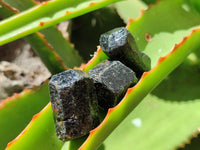 Natural Schorl Black Tourmaline Crystals x 1.6kg Lot From Zimbabwe