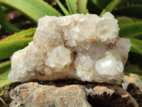 Natural Spirit Quartz Clusters x 3 From Boekenhouthoek, South Africa