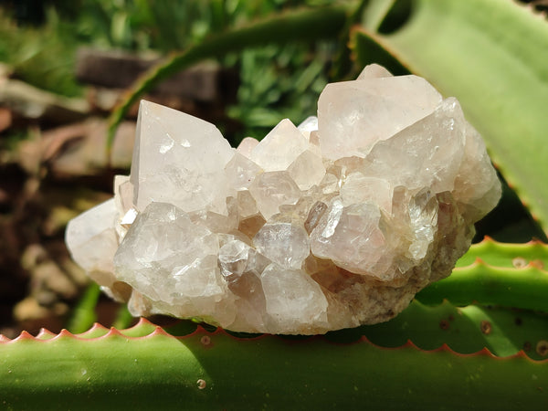 Natural Spirit Quartz Clusters x 3 From Boekenhouthoek, South Africa